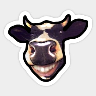 funny cow smile Sticker